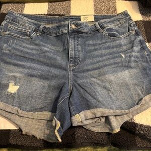 Cosmic Blue Love Denim Shorts – Size 20W